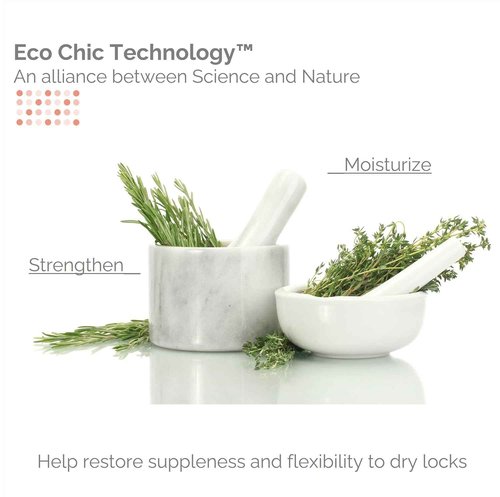 GIOVANNI ECO CHIC 50:50 Balanced Hydrating Clarifying Shampoo - Leaves Hair pH Balanced for Over-Processed Hair, Provides Moisture & Protection, Salon Quality, No Parabens, Color Safe - 128 oz