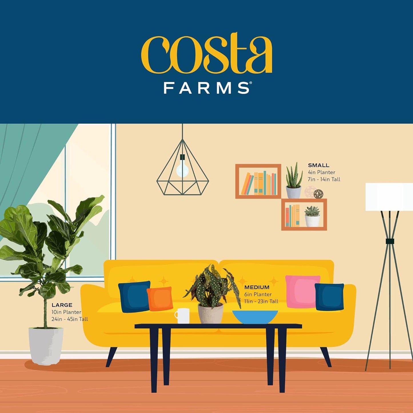 Costa Farms Live Plants (Pack of 20), Easy to Grow Live Indoor Houseplants in 2.5-Inch Plant Pots, Hand-Selected Varieties, Home and Room Decor