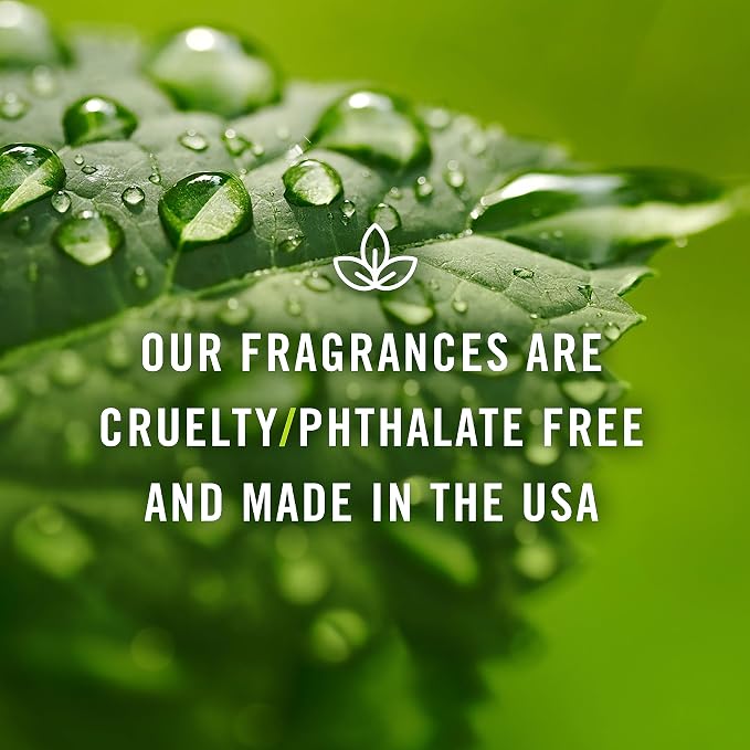 P&J Fragrance Oil - Pina Colada Scented Candle Making Oil, 100ml