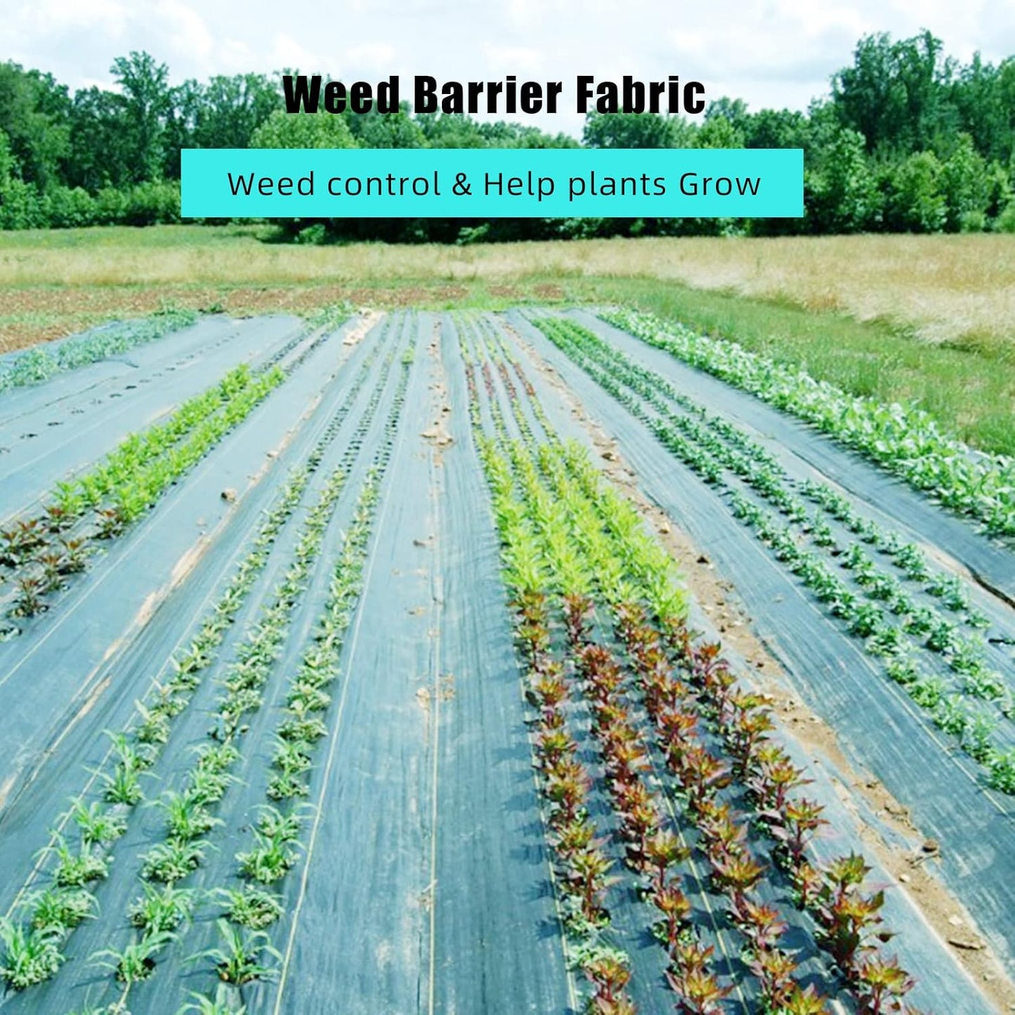 6.5ft x 330ft Weed Barrier Landscape Fabric Heavy Duty, Premium 3.2oz Ground Cover Weed Block Gardening Mat, Easy Setup & Superior Weed Control