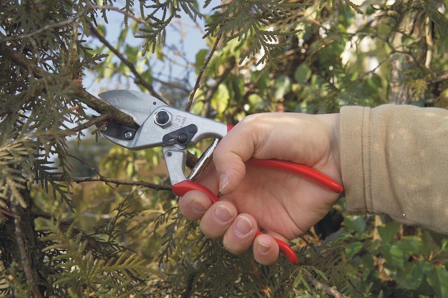 FELCO F31 Pruning Shears – 8.3" Swiss-Made Garden Clippers with Anvil Blade for Dry/Hard Wood | Hand Pruner for Gardening | Garden Tool Cutter with Aluminum Handle, Carbon Steel Blade, High-Torque Cut