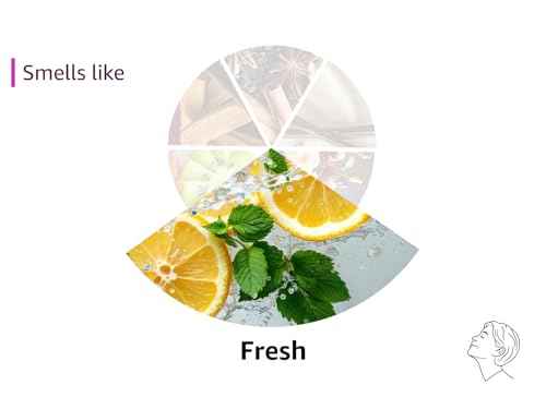 (144 Pack) Freshscent 0.5 oz. Stick Deodorant, Travel Size, Alcohol Free, light fragrance, bulk packed and perfect for donations.
