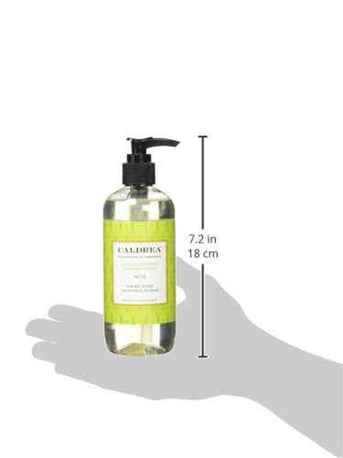 Caldrea Hand Soap Liquid, Ginger Pomelo, 11-Ounce Bottles (Pack of 6)