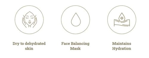 GERne'tic HYDRA GER Balancing mask for the face 2.1oz