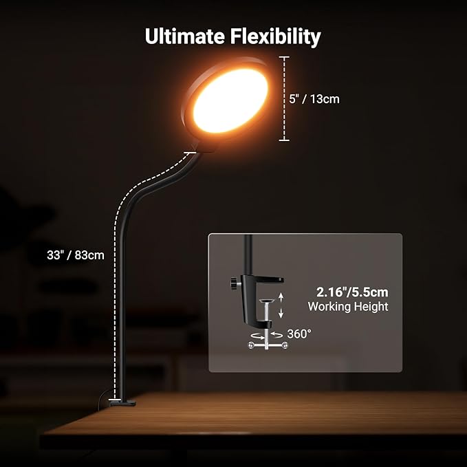 NEEWER Entry Level Version 5" Edge Lit Streaming Light with Desk Clamp Stand, 10W Bi Color Full Screen LED Ring Light CRI80+, Computer Laptop Webcam Zoom Call Video Conference Recording Lighting, N32