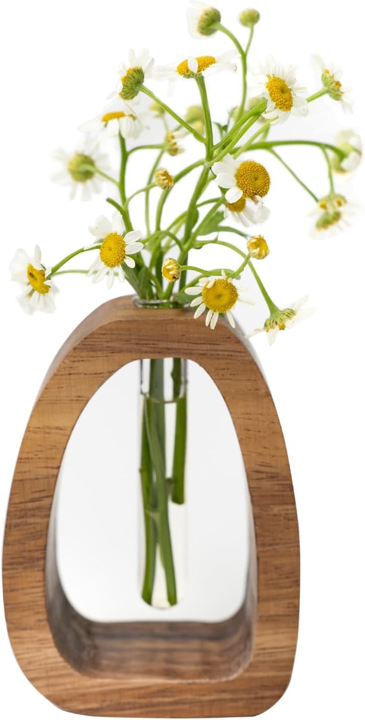 Solid Wood Frame Glass Test Tube Vase Desk Hydroponic Plant, Enhances Home and Office Environment, Small Size (Small)