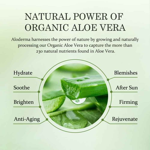 Aloderma Signature Aloe Firming & Rejuvenating Set - 6 Pieces - 114g Gel, Cleanser, Toner, Serum x 2pcs, Cream