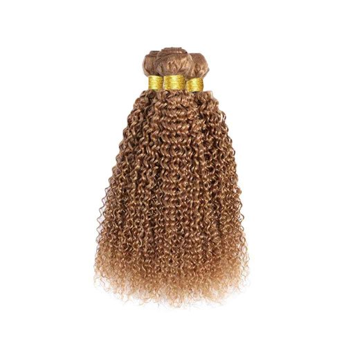 26 28 30 Inch Color 27 Bundles Human Hair Honey Blonde Curly Bundles Human Hair Brazilian Unprocessed Virgin Hair 3 Bundles Color 27 Kinky Curly Bundles Human Hair