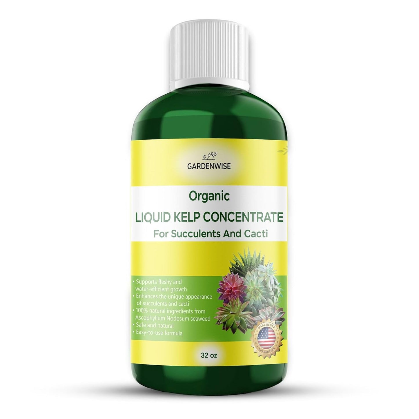 Organic Kelp Seaweed Fertilizer: Premium Succulent and Cactus Food - Indoor Plant Nutrition with Root Booster, Ideal for Christmas Cactus, Dragon Fruit, and Potted Plants (32 OZ)