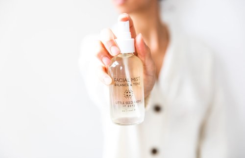 Little Seed Farm Activated Charcoal Bundle - Moisturizer + Soap + Elasticity Serum + Facial Mist Toner
