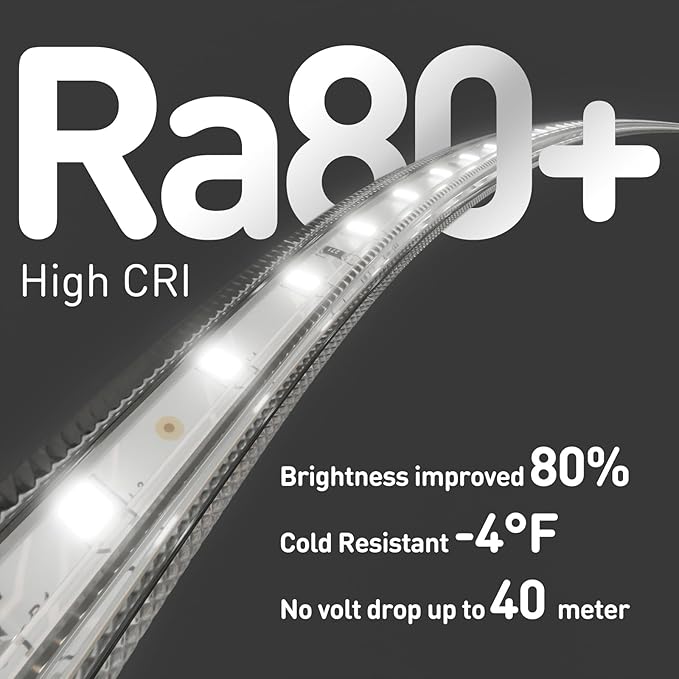 Shine Decor LED Strip Light Easy Connectable, 6000K Cool White Cold Resist Weatherproof Plug-in for Indoor Outdoor, 101 LM/FT Dimmable Bright Eco Rope Lighting 65FT, 120V Whole Set ETL Listed