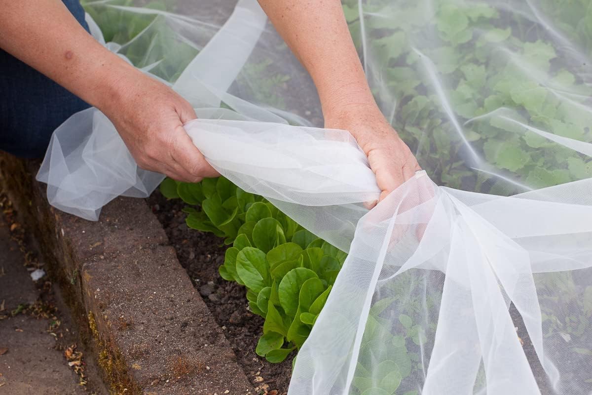 Agfabric Garden Netting 6.5'x10' Insect Pest Barrier Bird Netting for Garden Protection,Row Cover Mesh Netting for Vegetables Fruit Trees and Plants,White,2 Pack