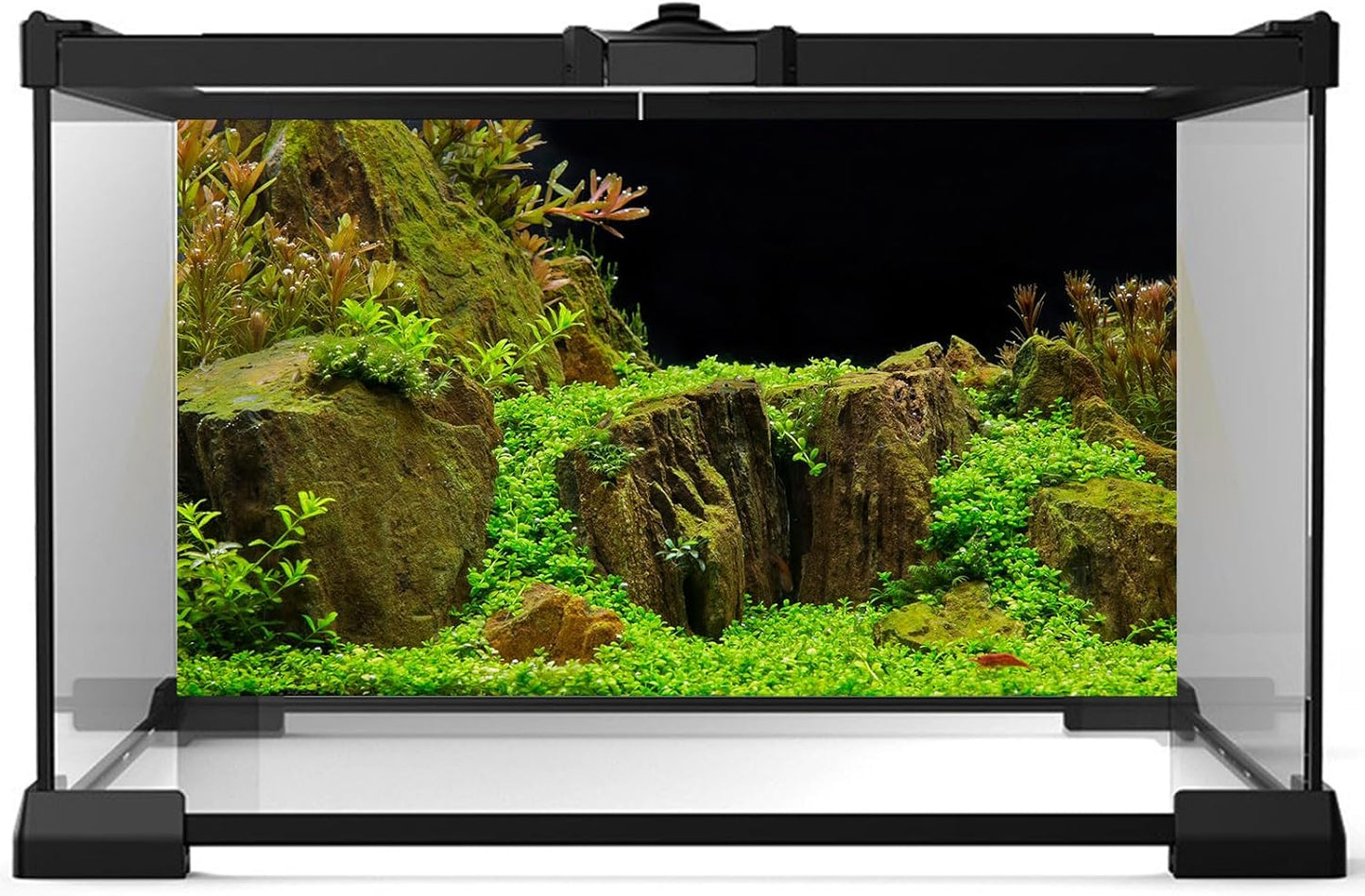 Aquarium Background Exquisite Underwater Grass with Moss Aquarium Backdrop Mysterious Stone Aquarium Background Durable Vivid and Fresh Leaves Background Tank Backdrop Decor Vinyl 72x16in