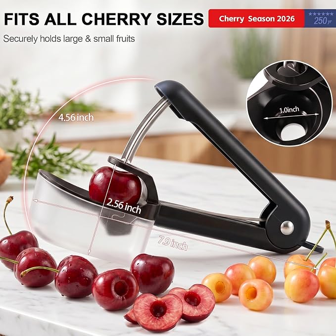 Cherry Pitter Tool Cherries Pitter Stainless Steel Rod for Making Cherry Jam with Lock Design(Black)