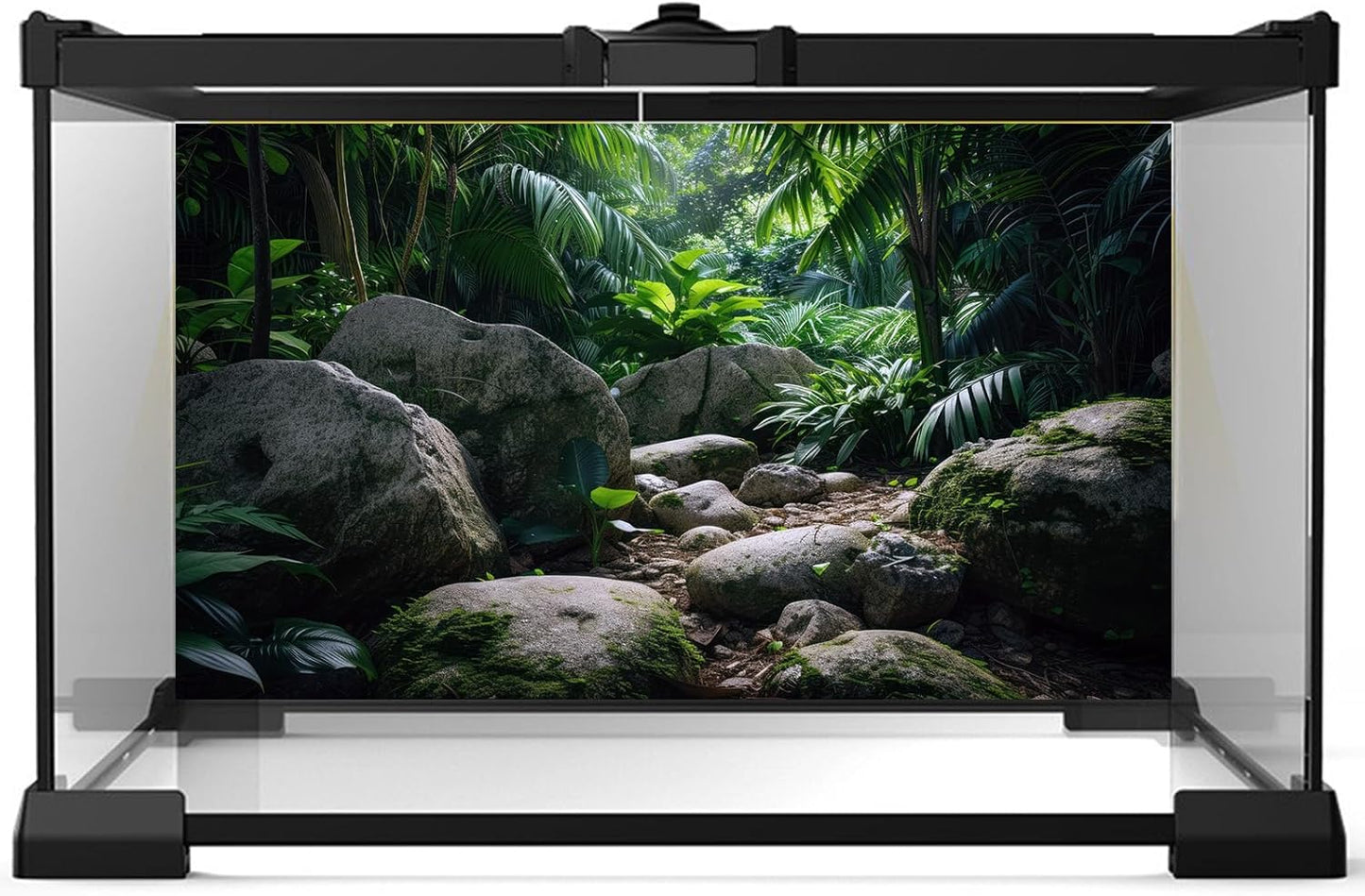 Reptile Habitat Backdrop Lush Tropical Plants and Rocks Terrarium Backdrop Dense Vegetation with Large Broad Leaves and Ferns Fish Tank Background Aquarium Wallpaper Poster Decor Vinyl 24x16in