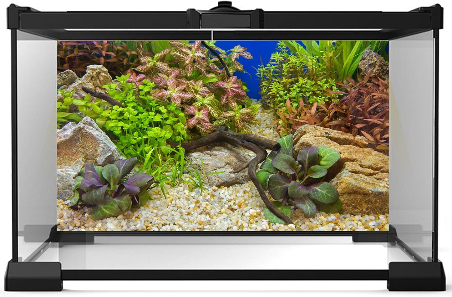 Aquarium Background Various Underwater Grass Plants Pebble Aquarium Backdrop Vivid and Fresh Green Aquatic Plants Stone River Bed and Dead Wood Purple Leaves Tank Background Vinyl 48x20in
