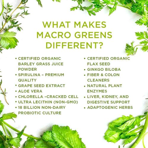 MacroLife Macro Greens Powder 38 Superfood Probiotics Antioxidants Digestive Enzymes & Adaptogen Supplement - Daily Super Green Juice & Smoothie Mix - Non-GMO Vegan Gluten-Free - 10oz (30 Servings)