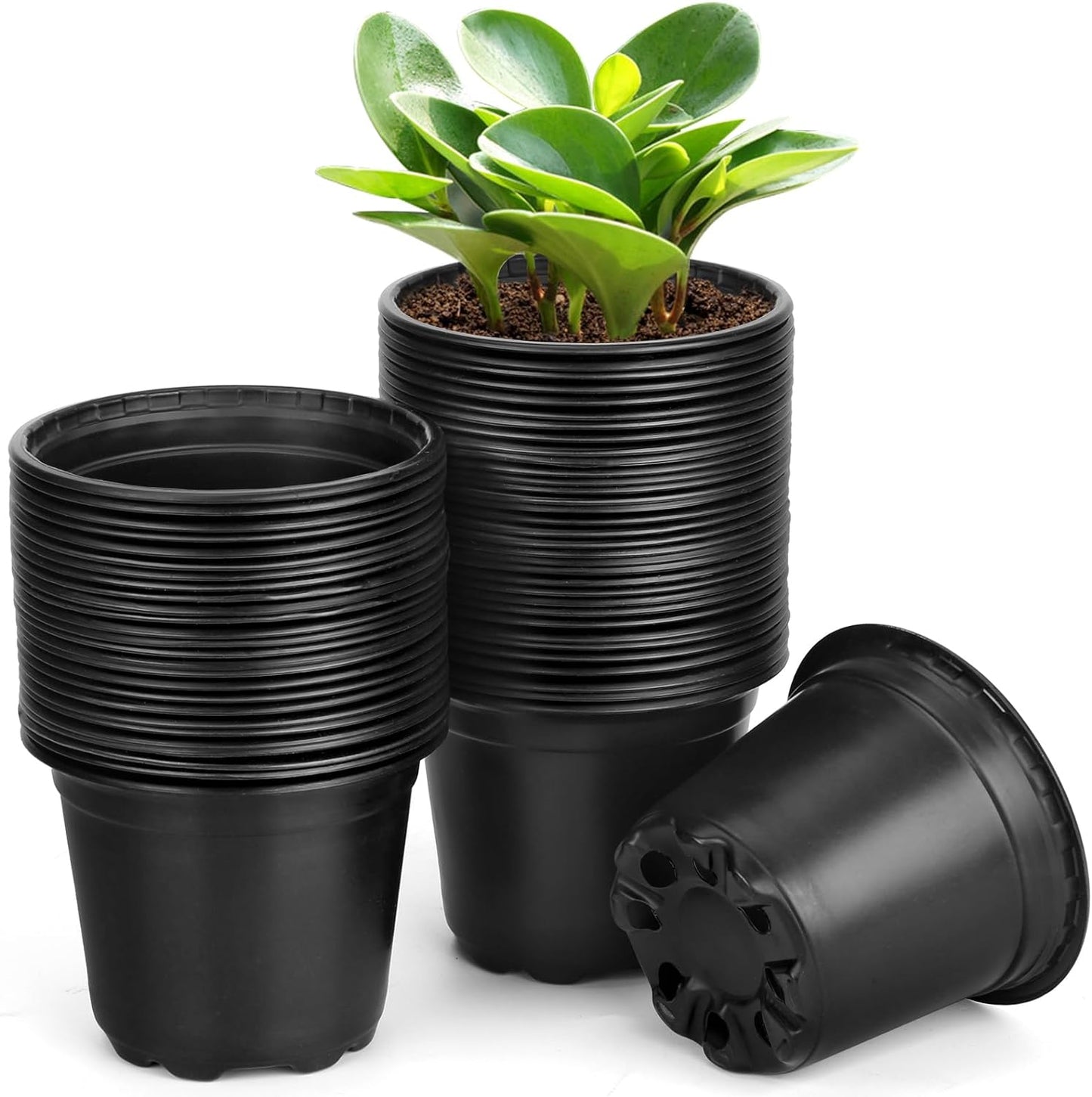 60 Pack 3 Inch Nursery Pots for Plants, Plastic Seeds Starter Pots with Drainage Holes, Small Plastic Plant Nursery Pots for Succulents Seedling Cutting Transplanting (60, 3 Inch)