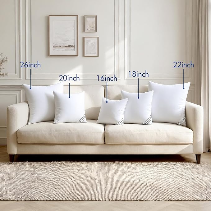 MIULEE 18x18 Inch Pillows Inserts, Pack of 2 Down Alternative Virgin Filling Comfy Support Throw Pillows for Sofa Couch Bed