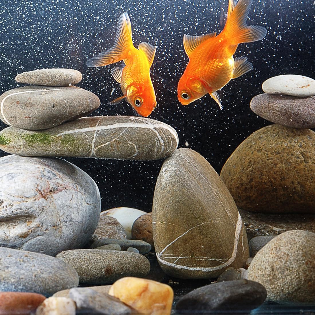 40lbs Natural River Rocks, 3"-4" Premium Pebbles for Garden and Landscape Design, Hand-Picked Smooth Stones for Fish Tank, Flower Pots, Indoor Water Fountains, Pathways, Backyard