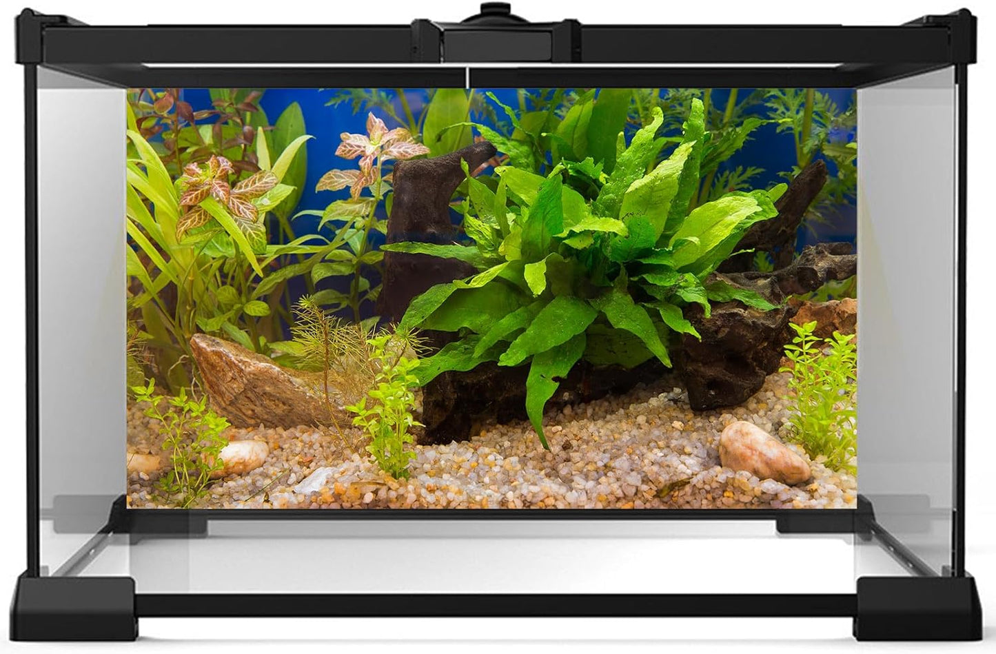 Aquarium Backdrop Underwater Grass Leaves Pebble Aquarium Background Vivid and Fresh Green Aquatic Plant Stone River Bed Fish Dead Wood Leaves Tank Background Decors Vinyl 30x18in