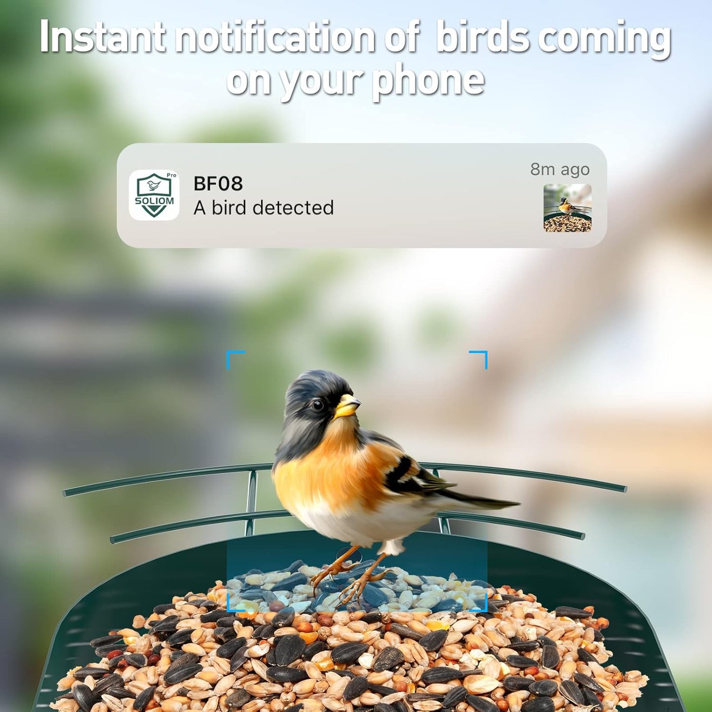 Soliom- Bird Feeder with Camera, 5W Solar Powered, AI Identify Species, Smart Wild Bird Watching, 2K Live View, Instant Arrival Alerts,Large 2.7L Seed Capacity, Metal Squirrel Chew-Proof - BF08 Green