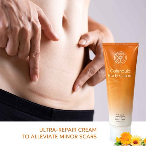 L’EUDINE Calendula Cream – Pack of 6-4fl oz Calendula Body Cream for Acne, Wrinkles, Fine Lines, Scars – Calming and Soothing Repair Cream – Natural Calendula Extract with Vitamin E, Echinacea