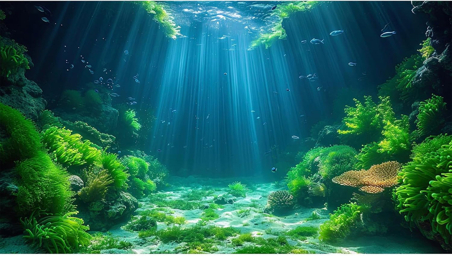 Aquarium Background Aquatic Plants Soft Algae Terrarium Backdrop Underwater World Fish Rock with Moss Sunlight Rays Fish Tank Background Aquarium Wallpaper Poster Decor Vinyl 36x20in