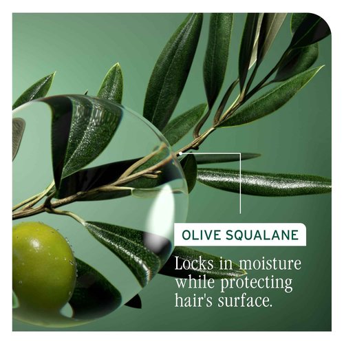 Biolage Strength Recovery Shampoo & Conditioner Set | Repairs Extremely Damaged Hair & Reduces Breakage | For All Dry & Sensitized Hair | Vegan | Cruelty-Free