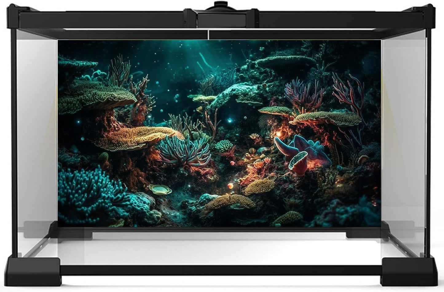 Aquarium Background Colorful Picturesque Coral Reef Terrarium Background Tropical Sea Various Hard Corals Underwater Landscape Fish Tank Backdrop Aquarium Poster Background Vinyl 30x18in
