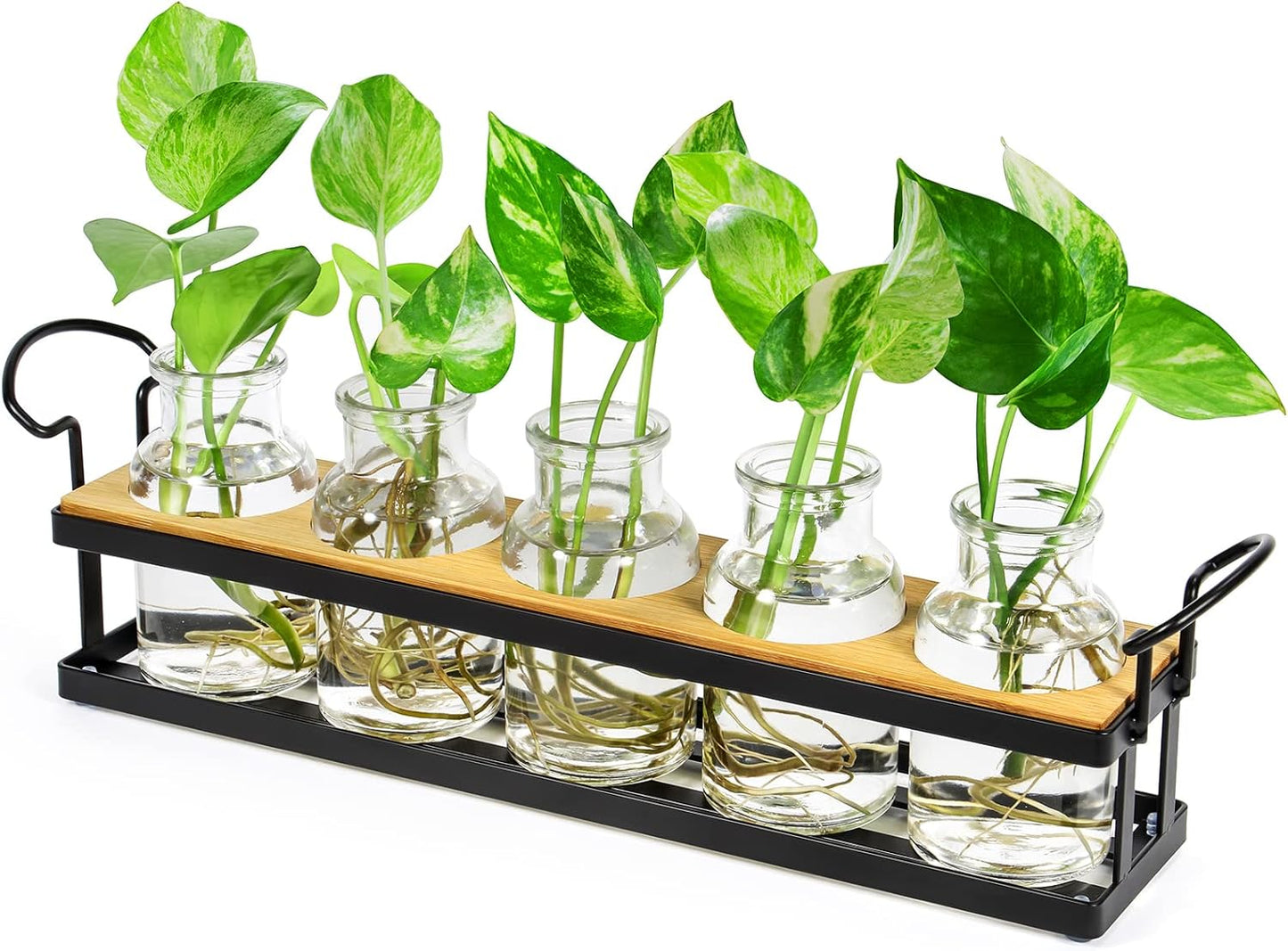 THYGIFTREE Plant Propagation Stations with Metal Stand, Tabletop Plant Terrarium for Propagating Hydroponic, Retro Glass Planter Flower Vase Home Kitchen Office Decor, Plant Lover Gifts, 5 Jars