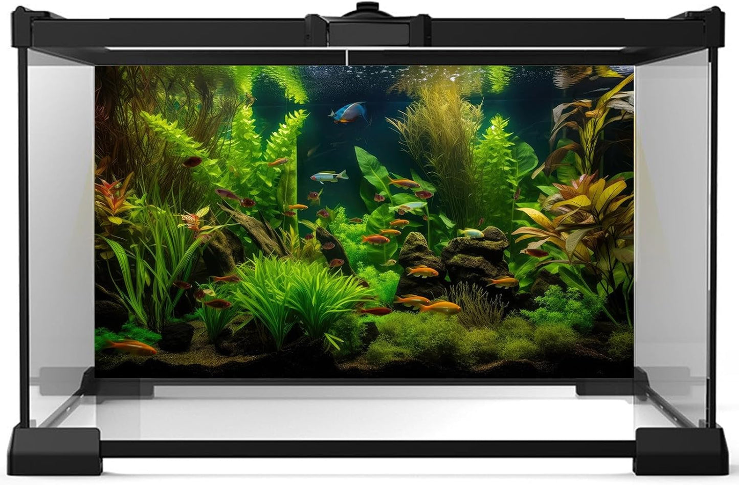 Aquarium Background Tropical Freshwater Colorful Fish Plants Fish Tank Background Tranquil Under The Sea Aquatic Plants Cork Redwood Root Lush Green Moss Reptile Tank Terrarium Background 24x16in