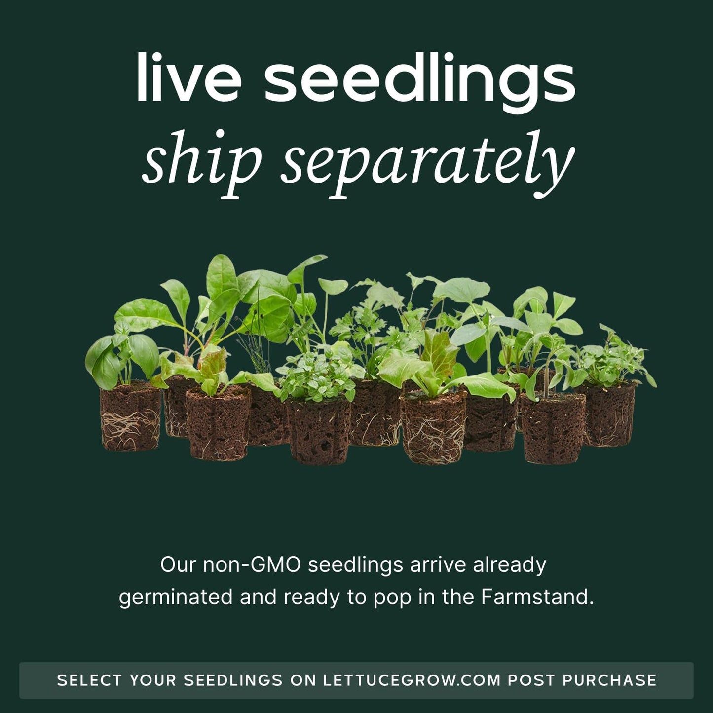 Farmstand Starter Kit with Glow Rings and 24 Seedling Credits | Medium Hydroponic Growing System Kit | Vertical Garden Planter Tower | 4ft 10in Tall