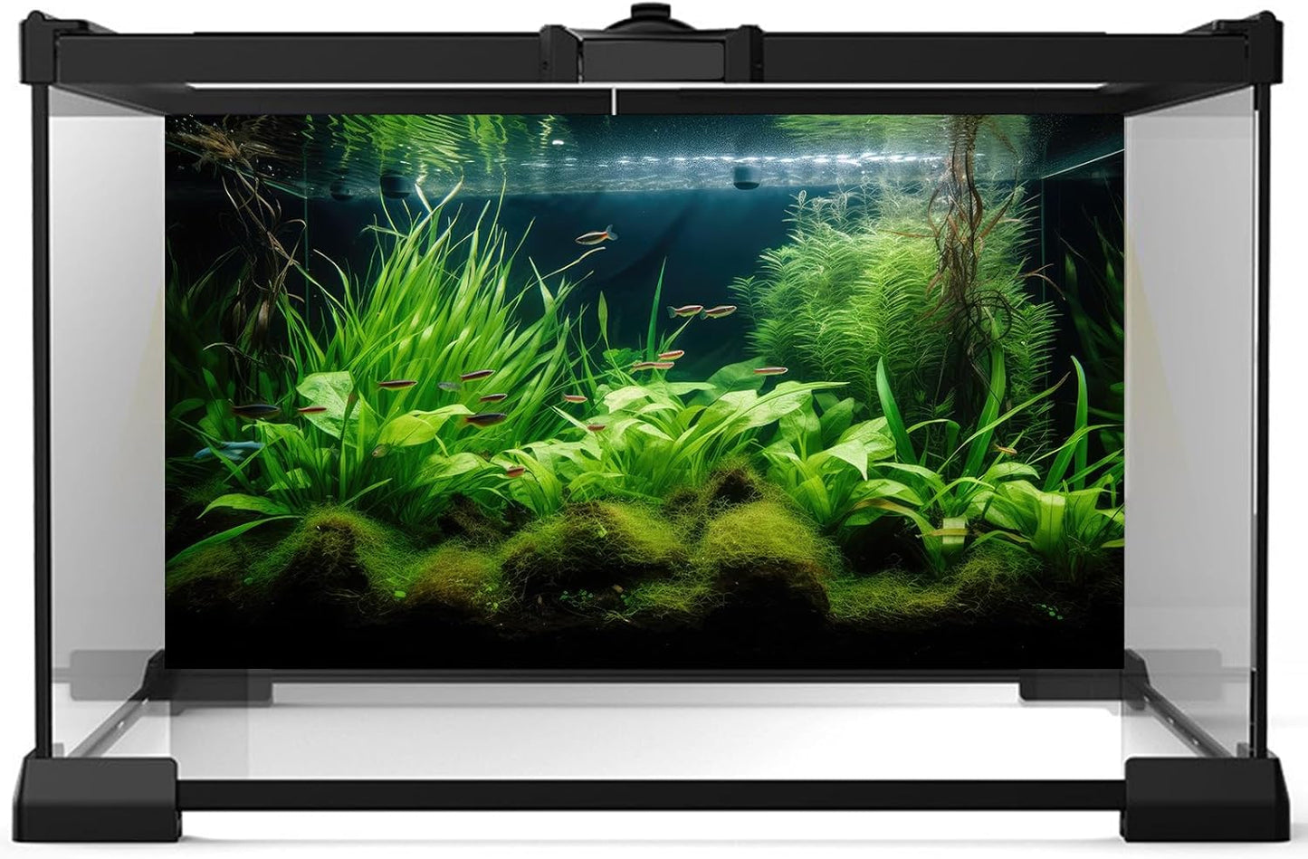 Aquarium Background Diverse Aquatic Plants Seagrasses Terrarium Background Redwood Root Lush Green Underwater Plants Tropical Style Fish Tank Background Under The Sea Aquarium Backdrop Vinyl 36x18in