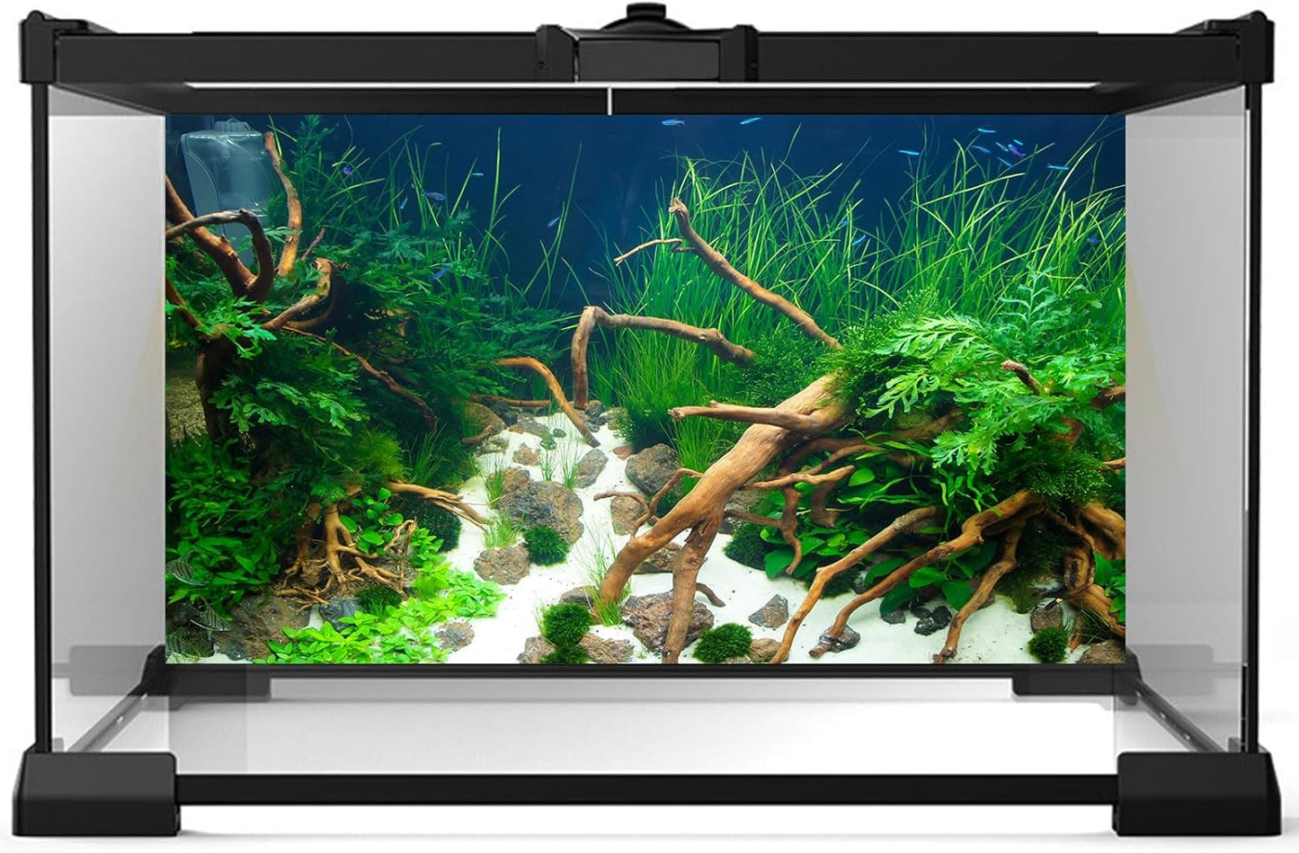 Aquarium Background Various Underwater Grass Plants Aquarium Backdrop Vivid and Fresh Green Aquatic Plants Stone River Bed and Dead Wood Yellow Stone Fish Tank Background 72x18in