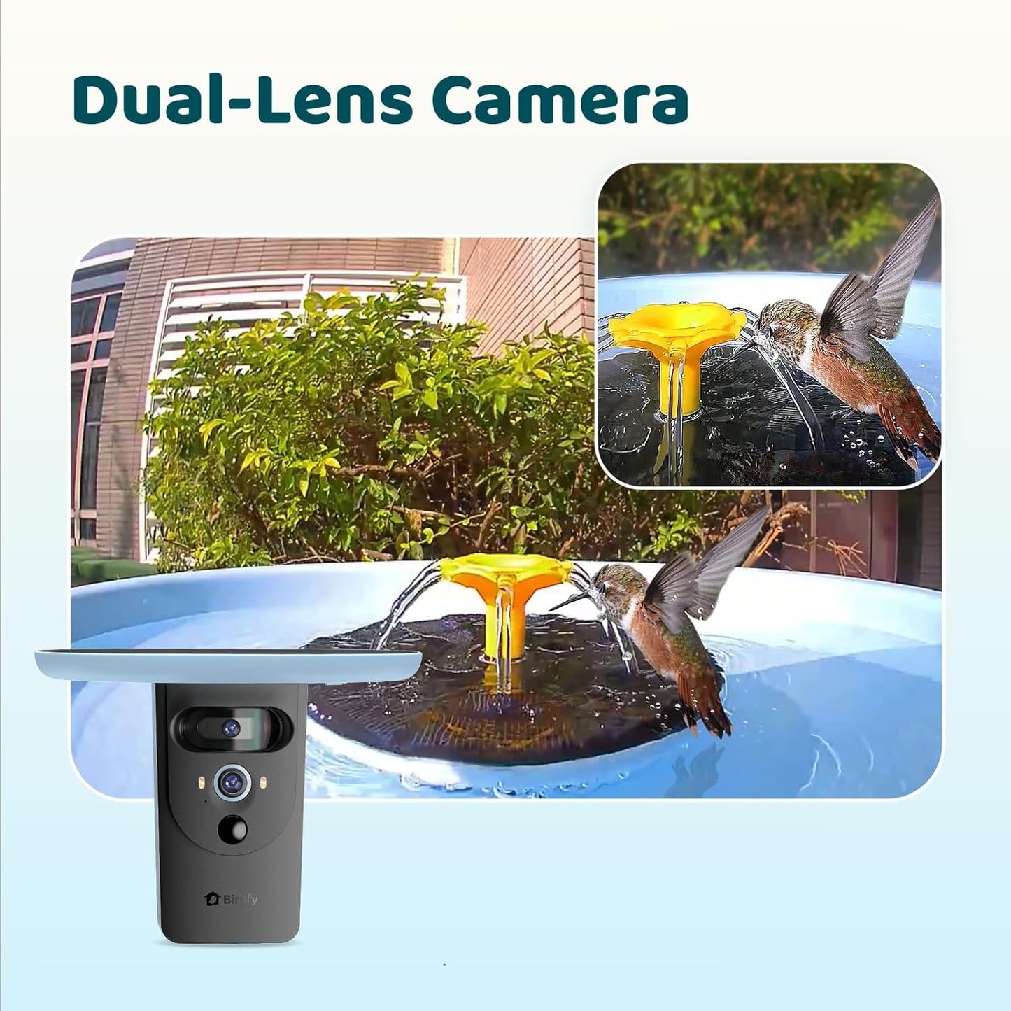 Birdfy Smart Bird Bath with Camera Solar Powered & Fountain, Dual-Lens Camera for Wildbird Watching, Auto Capture Bird Videos & Motion Detection - AI Lifetime Version