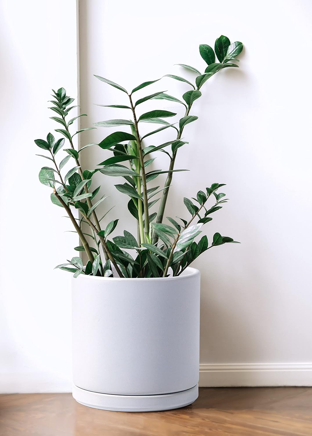 D'vine Dev Set of 2 Plants Pots, 8 Inch Ceramic Planter Pot for Plants with Drainage Hole and Saucer, White, 94-V-D-1