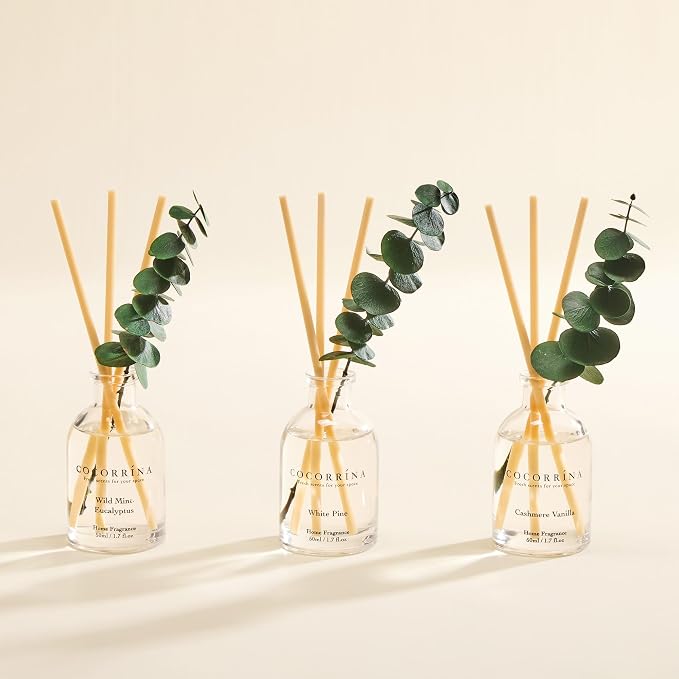 COCORRÍNA Eucalyptus Reed Diffuser Set of 3 - Wild Mint & Eucalyptus, White Pine, Cashmere Vanilla Scents, 1.7 fl oz Each, Total 5.1 oz, Scented Oil Diffusers for Home & Office