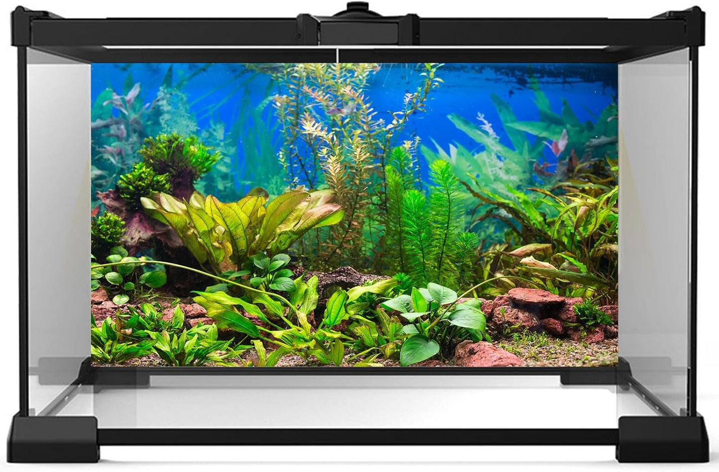 Aquarium Background Various Underwater Grass Plants Aquarium Backdrop Vivid and Fresh Green Aquatic Plants Stone River Bed and Dead Wood Purple Stone Fish Tank Background 36x20in