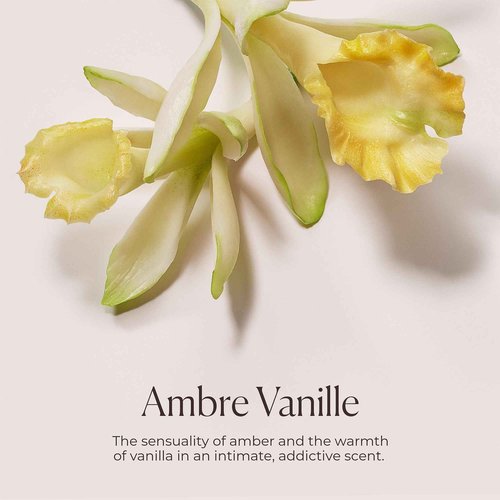 Laura Mercier Honey Bath, Foaming Bubble Bath, Long-Lasting Hydration, Helps Maintain Skin's Moisture, Provides Visible Radiance, Suitable for All Skin Types, Ambre Vanille