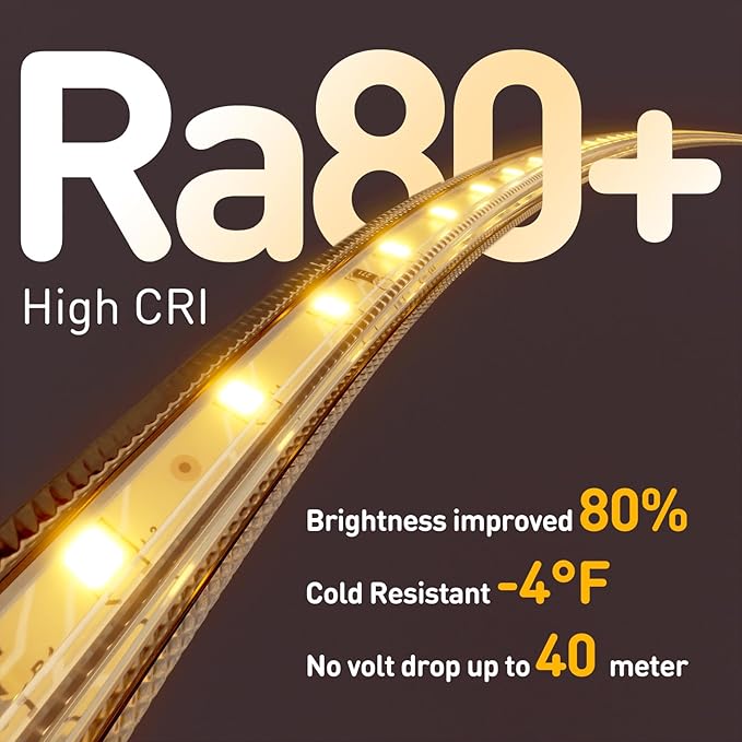 Shine Decor LED Strip Light Easy Connectable, 2800K Warm White Cold Resist Weatherproof Plug-in for Indoor Outdoor, 101 LM/FT Dimmable Bright Eco Rope Lighting 32FT, 120V Whole Set ETL Listed