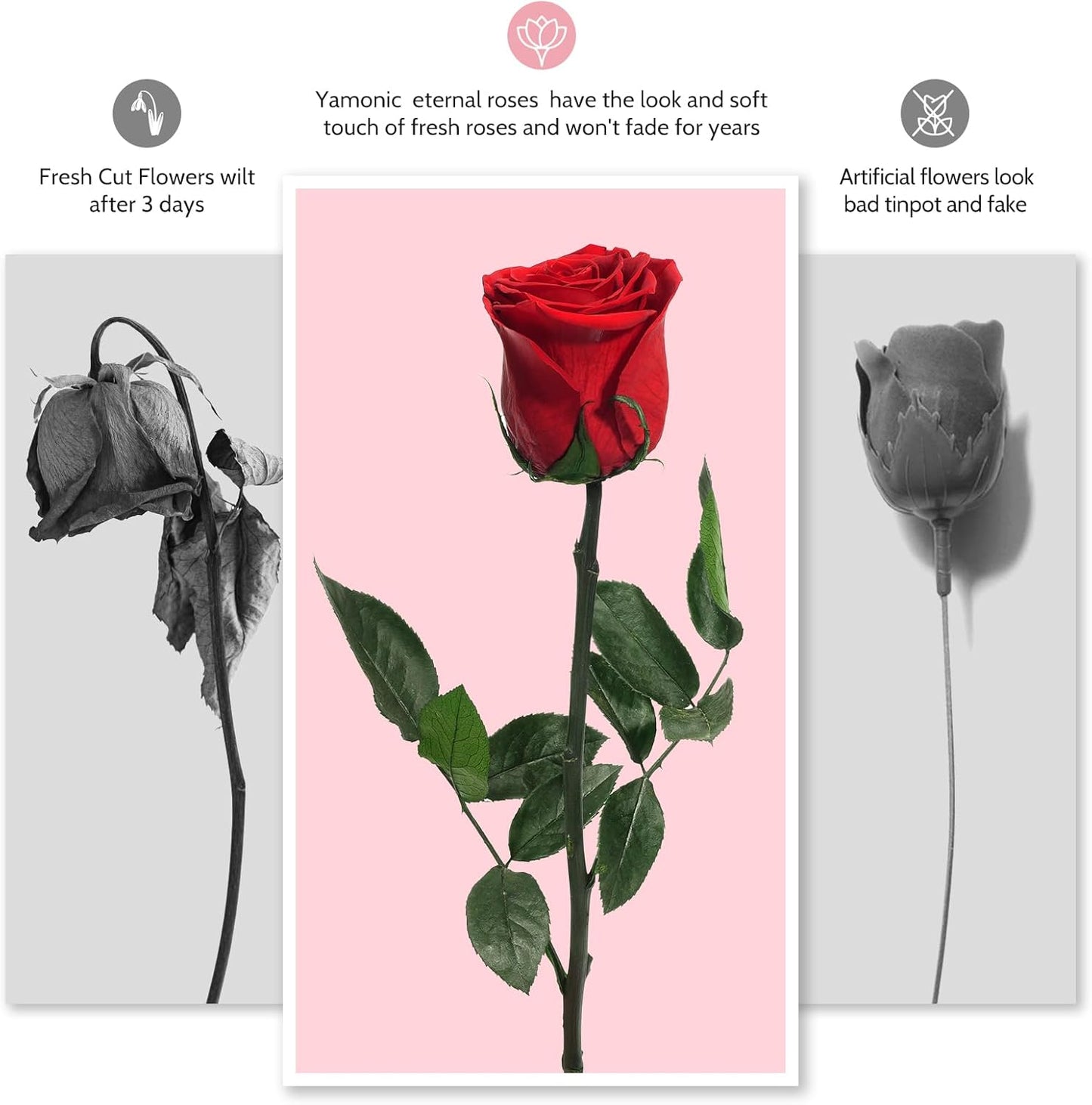 Yamonic Preserved Flowers Rose Gifts for Mom, Grandma, Women - Real Flower Rose Gifts for Mom, Her, Wife, Girlfriend on Christmas, Valentine's Day, Anniversary, Home Decor