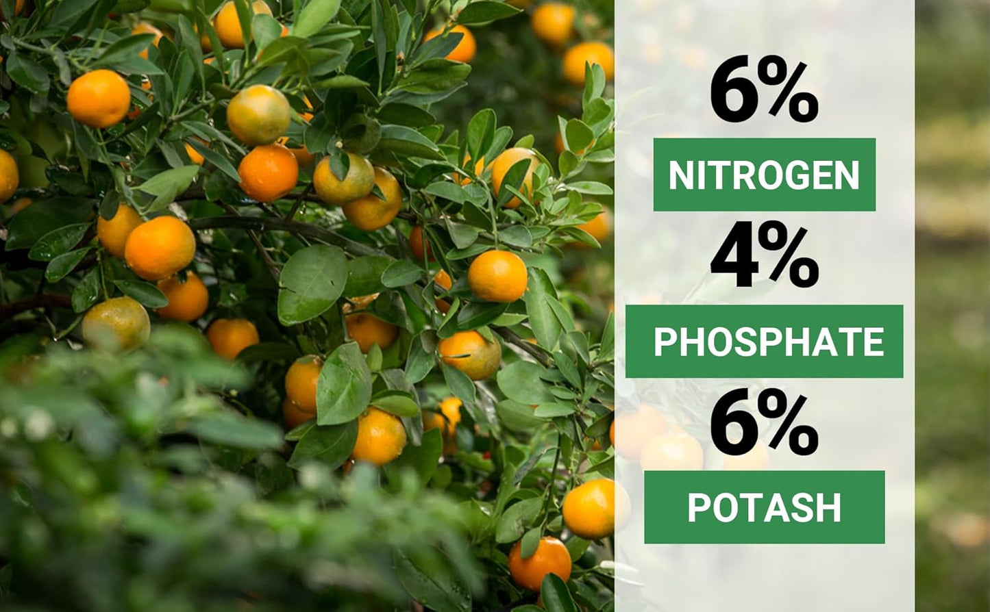 6-4-6 Avocado and Citrus Tree Professional Fertilizer Plant Food for Outdoor/Indoor Gardening; Quick-Release Nitrogen Fertilizer; Orange, Lime, Avocado and Lemon Tree Fertilizer (5 QUARTS)
