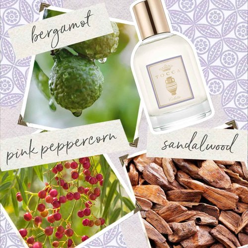 Tocca Women's Perfume (20 ml) & Dry Body Oil (100 ml) Set in Colette - Warm Floral, Bergamot, Sandalwood, Pink Peppercorn
