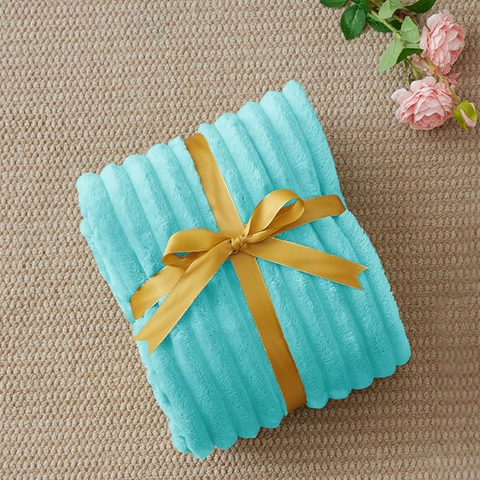 BEDELITE Fleece Throw Blanket for Couch - 300GSM Soft & Warm Fluffy Aqua Blanket, Decorative and Giftable Striped Blankets for Women, Men, 50"x60"