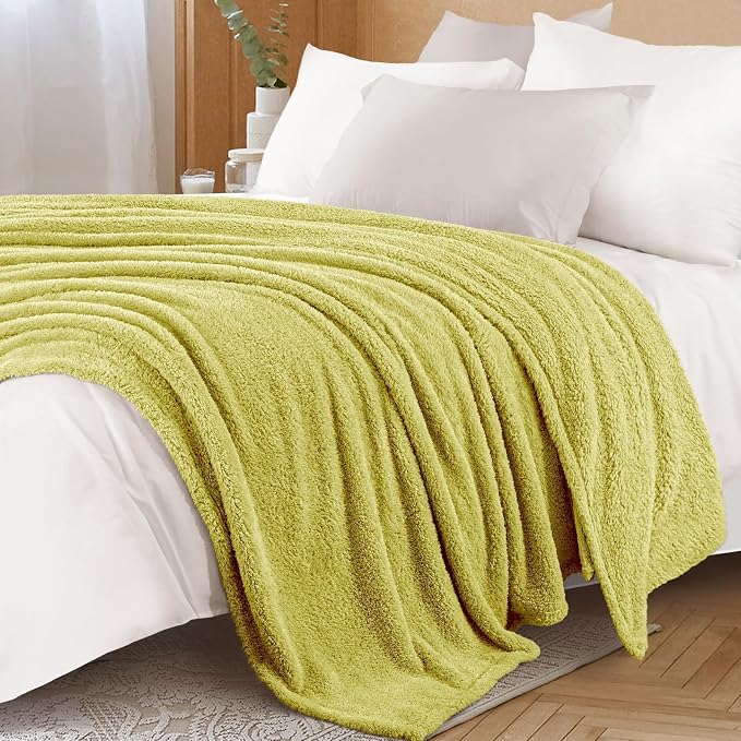 Exclusivo Mezcla Fleece Bed Blankets Queen Size, Ultra Soft, Lightweight and Fuzzy Light Green Blanket for Women, Home Decor, 90x90 Inches