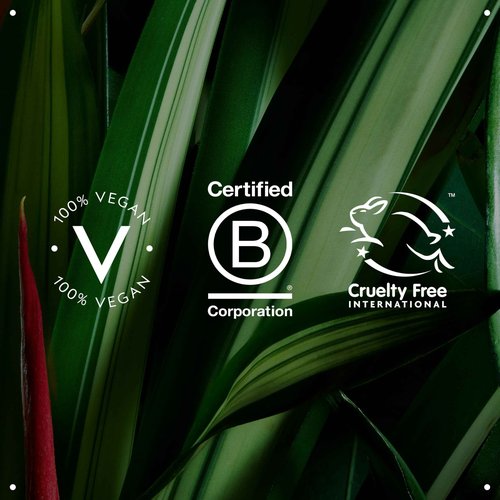 Aveda Tulasara Firming Sleeping Masque | Moisturizing, Brightening Overnight Face Mask | With Vitamin C & Peptides, 1.7 Fl Oz