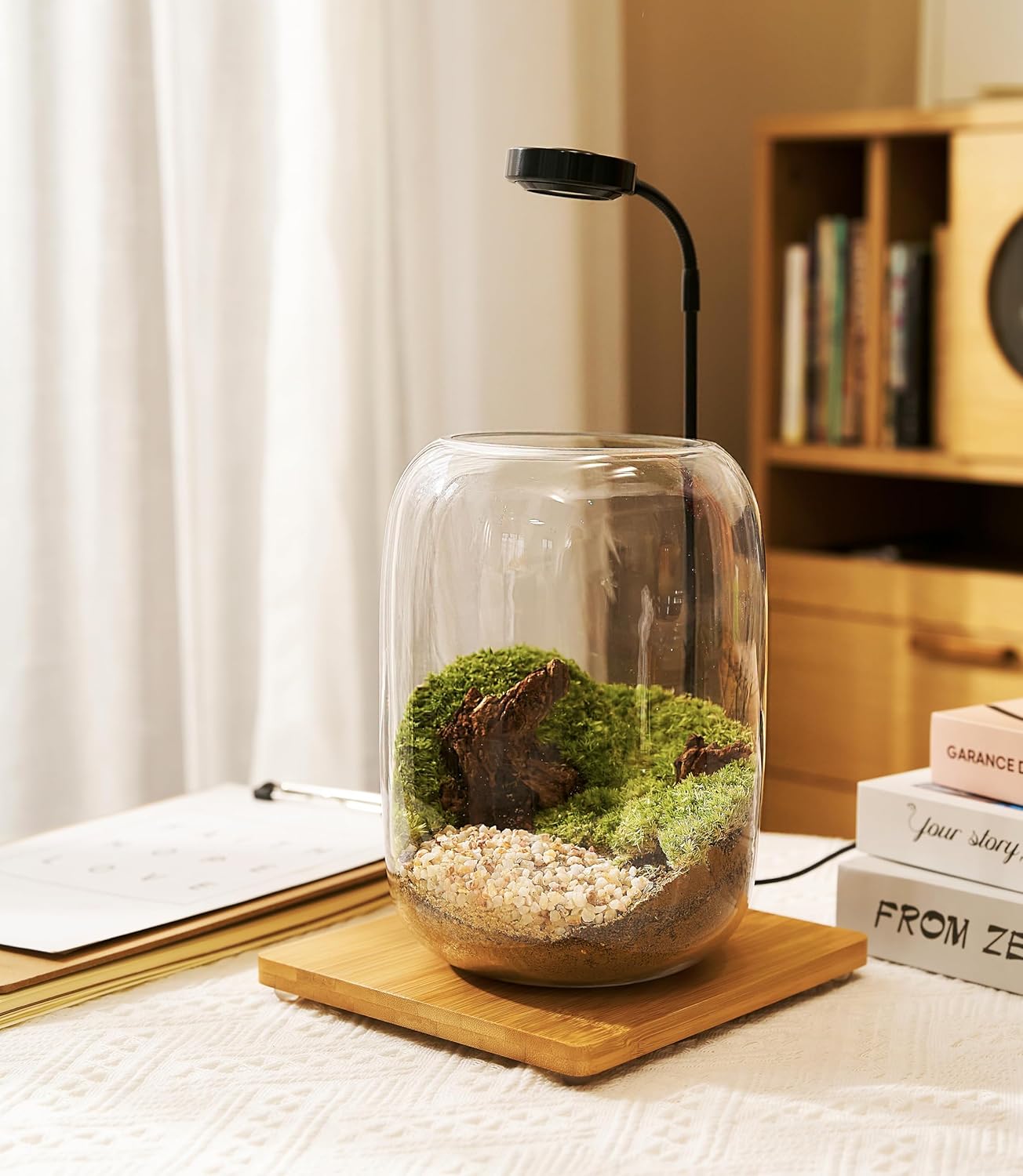 Terrarium Kit/Supplies Terrarium Plants Set with Grow Light, for Succulents Miniature Gardening, Include Terrarium jar Tool Set Live Moss Rocks Soil Driftwood and Decor, for Plant Lovers
