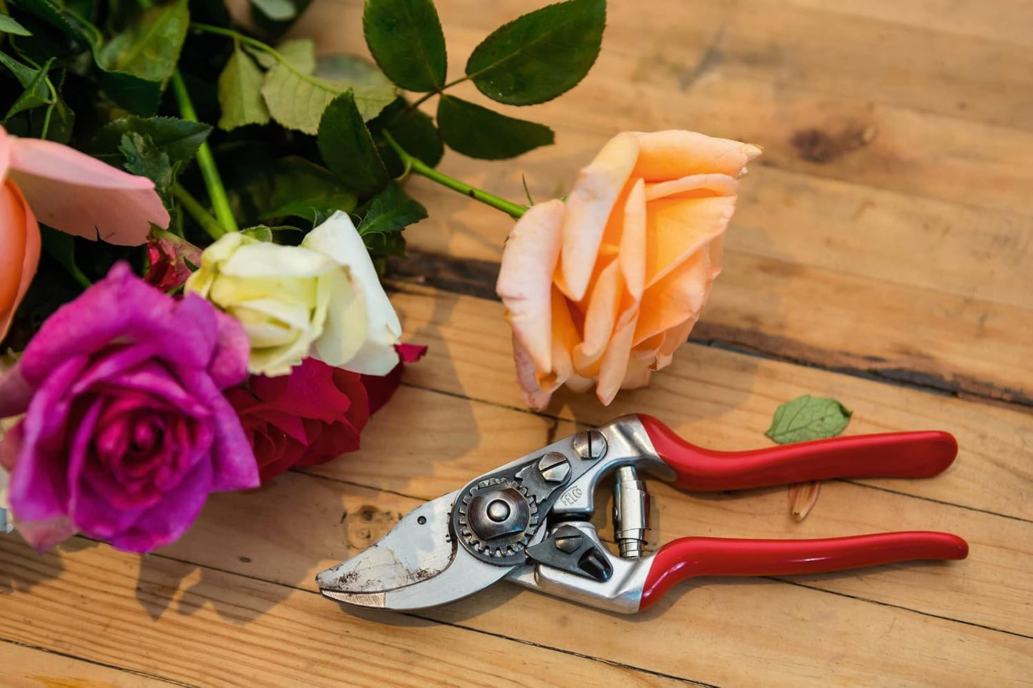 Felco F 14 Pruning Shears – 7.1" Garden Clippers for Small Hands with Bypass & Anvil Blades | Hand Pruners for Gardening | Garden Tool Cutter with Forged Alloy Steel Build, Lightweight Swiss Design