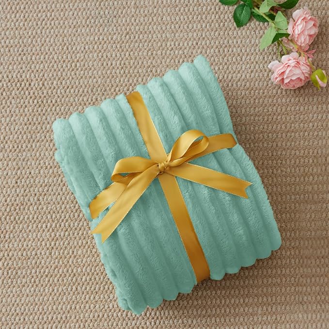 BEDELITE Fleece Throw Blanket for Couch - 300GSM Soft & Warm Fluffy Mint Blue Blanket, Decorative and Giftable Striped Blankets for Women, Men, 50"x60"